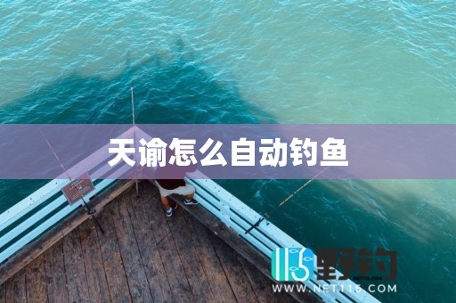 天谕怎么自动钓鱼