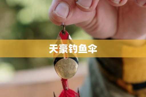 天豪钓鱼伞