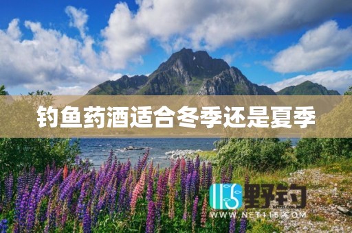 钓鱼药酒适合冬季还是夏季