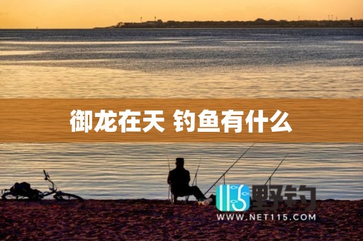 御龙在天 钓鱼有什么