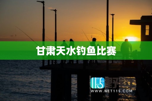 甘肃天水钓鱼比赛