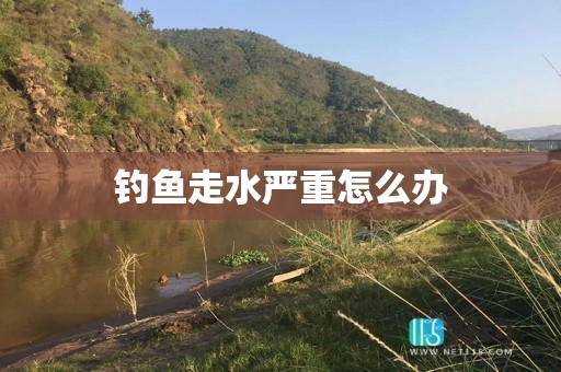 钓鱼走水严重怎么办