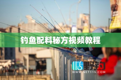 钓鱼配料秘方视频教程