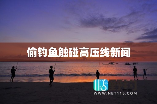 偷钓鱼触碰高压线新闻