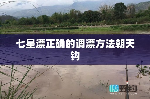 七星漂正确的调漂方法朝天钩