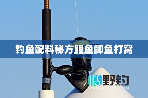 钓鱼配料秘方鲤鱼鲫鱼打窝