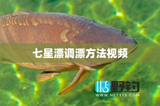 七星漂调漂方法视频