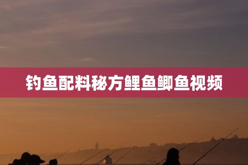 钓鱼配料秘方鲤鱼鲫鱼视频