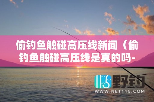 偷钓鱼触碰高压线新闻（偷钓鱼触碰高压线是真的吗-应用汇）