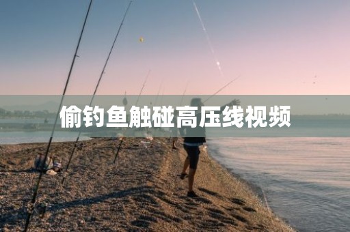 偷钓鱼触碰高压线视频