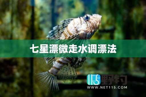七星漂微走水调漂法