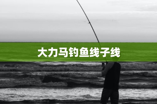 大力马钓鱼线子线