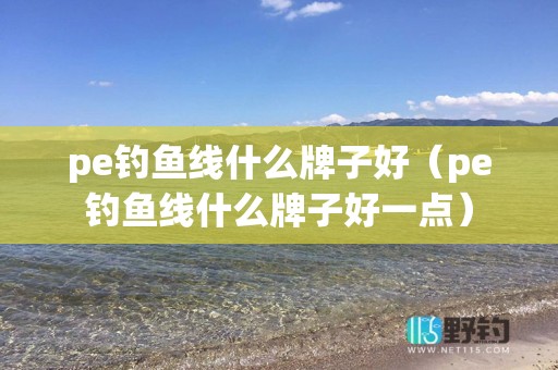pe钓鱼线什么牌子好（pe钓鱼线什么牌子好一点）