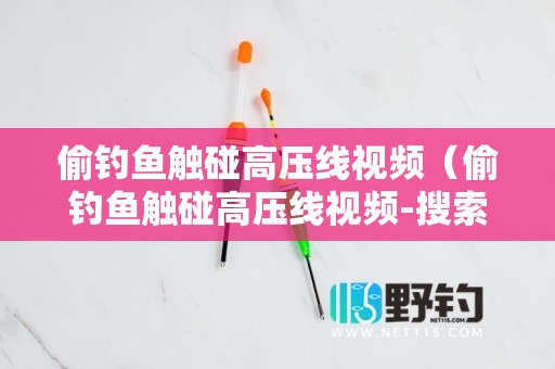 偷钓鱼触碰高压线视频（偷钓鱼触碰高压线视频-搜索页）