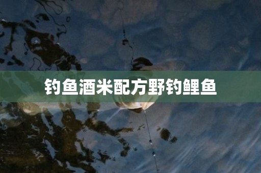 钓鱼酒米配方野钓鲤鱼