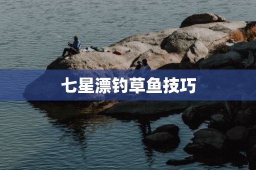 七星漂钓草鱼技巧