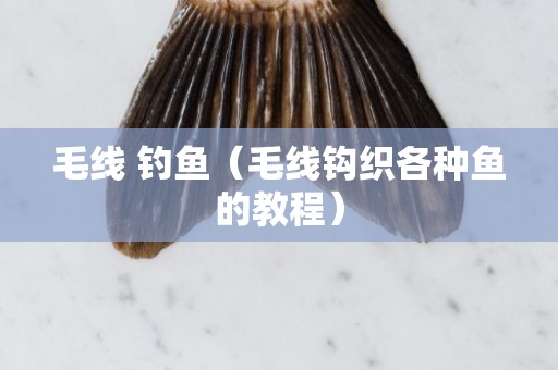 毛线 钓鱼（毛线钩织各种鱼的教程）