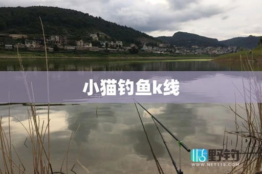 小猫钓鱼k线