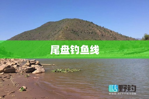 尾盘钓鱼线