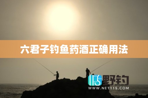 六君子钓鱼药酒正确用法
