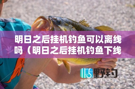 明日之后挂机钓鱼可以离线吗（明日之后挂机钓鱼下线后还会继续吗）