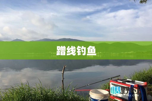 蹭线钓鱼