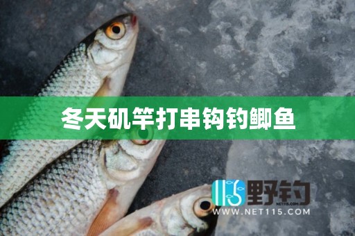 冬天矶竿打串钩钓鲫鱼