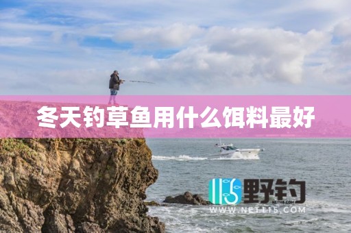 冬天钓草鱼用什么饵料最好
