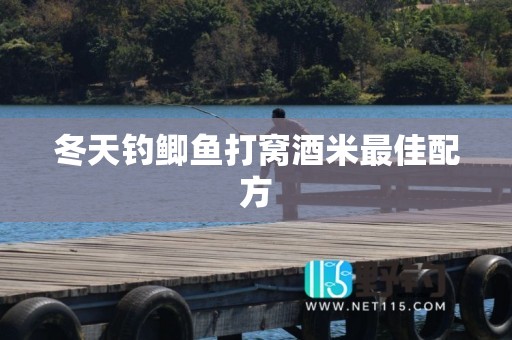 冬天钓鲫鱼打窝酒米最佳配方