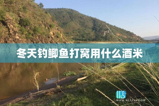 冬天钓鲫鱼打窝用什么酒米