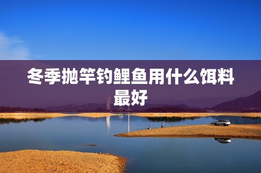 冬季抛竿钓鲤鱼用什么饵料最好