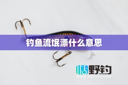 钓鱼流氓漂什么意思