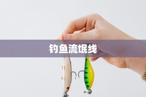 钓鱼流氓线