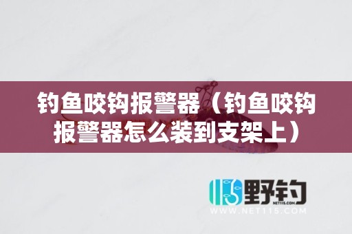 钓鱼咬钩报警器（钓鱼咬钩报警器怎么装到支架上）