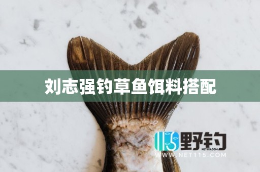 刘志强钓草鱼饵料搭配