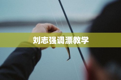 刘志强调漂教学