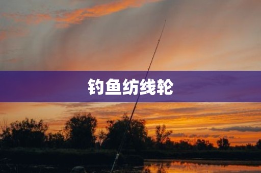 钓鱼纺线轮