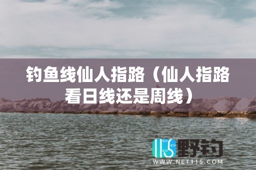 钓鱼线仙人指路（仙人指路看日线还是周线）