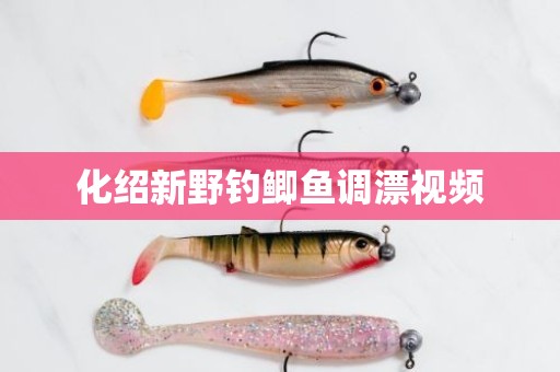 化绍新野钓鲫鱼调漂视频