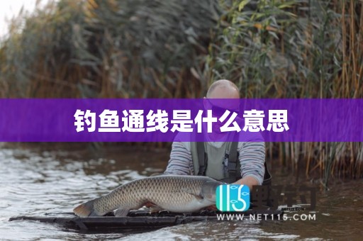 钓鱼通线是什么意思