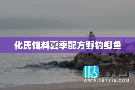化氏饵料夏季配方野钓鲫鱼