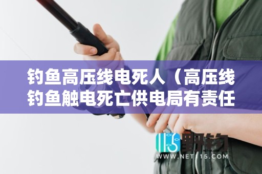 钓鱼高压线电死人（高压线钓鱼触电死亡供电局有责任吗）
