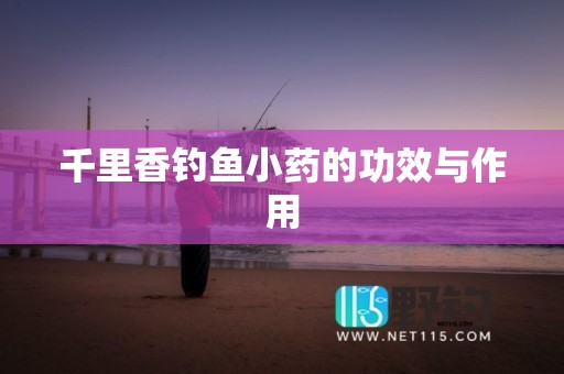 千里香钓鱼小药的功效与作用