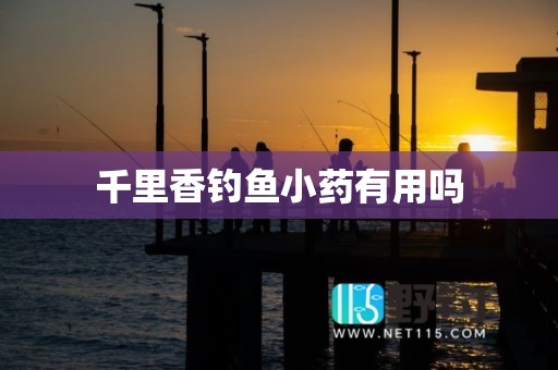 千里香钓鱼小药有用吗