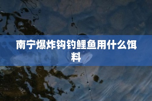 南宁爆炸钩钓鲤鱼用什么饵料