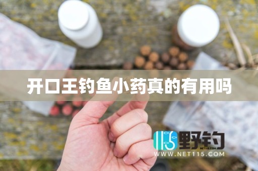 开口王钓鱼小药真的有用吗
