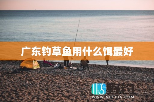 广东钓草鱼用什么饵最好