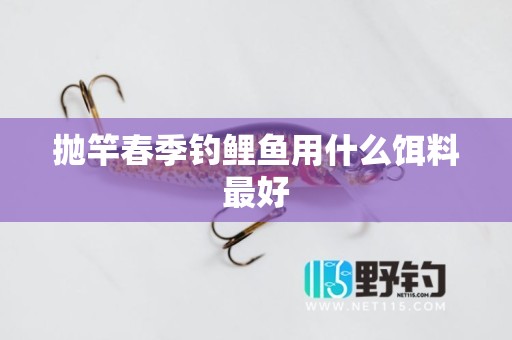 抛竿春季钓鲤鱼用什么饵料最好