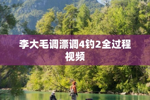 李大毛调漂调4钓2全过程视频