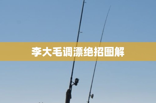 李大毛调漂绝招图解